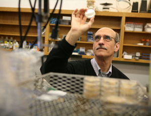 呼死你电话轰炸机