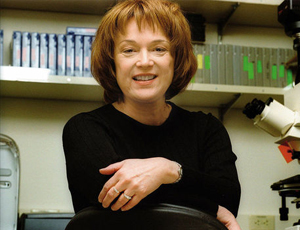 开启智能新篇的免费电话轰炸